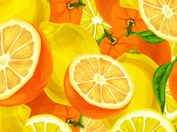 2D, Pomarańcze, Cytrusy, Owoce, Cytryny